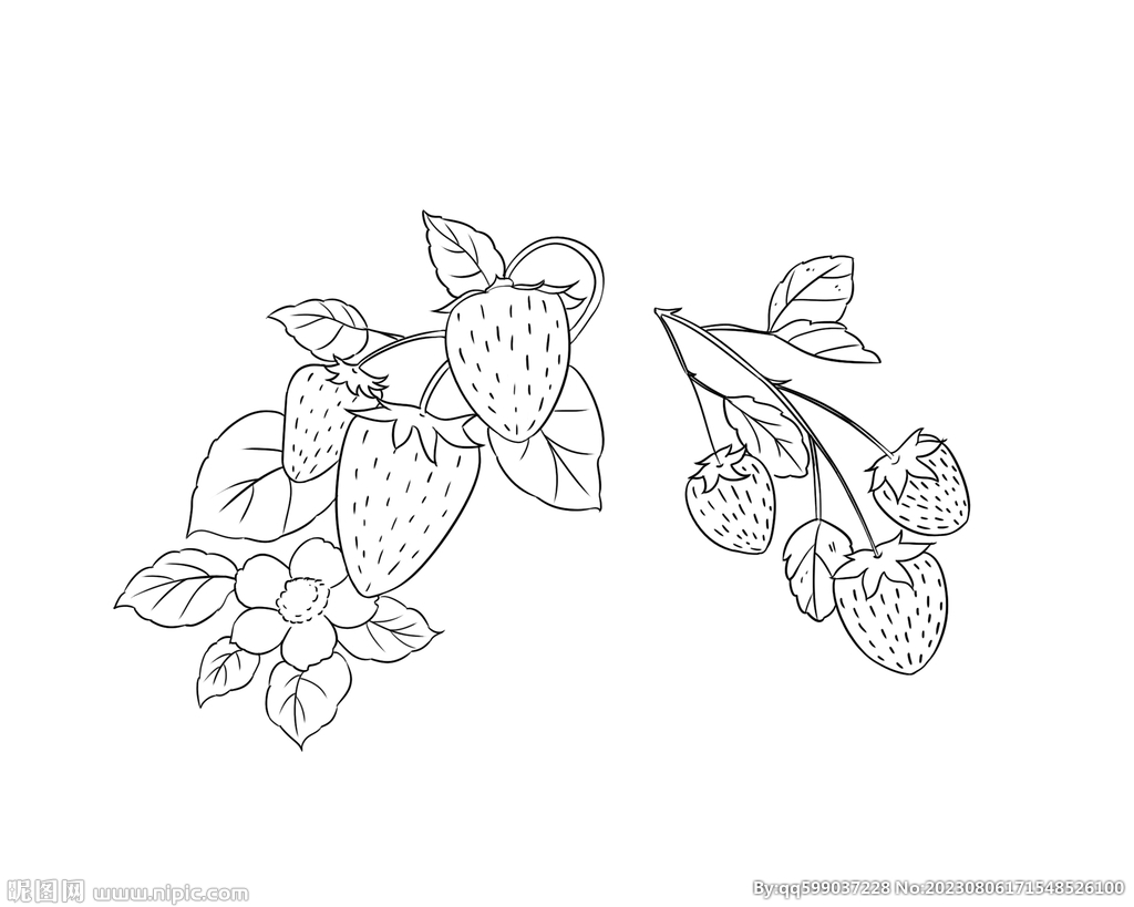 草莓