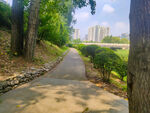公园小路