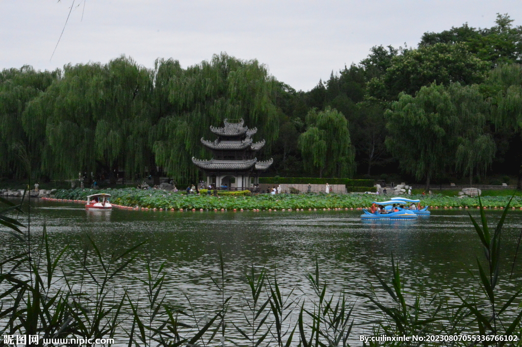 公园风景 