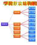 学校行政结构