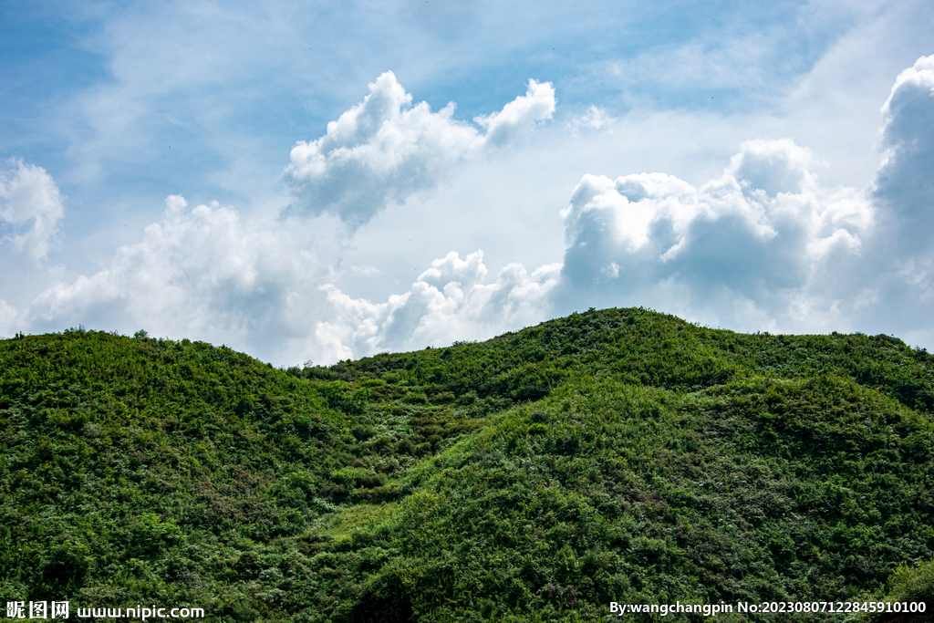 青山