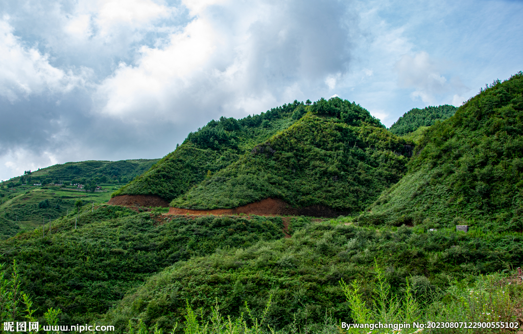 青山