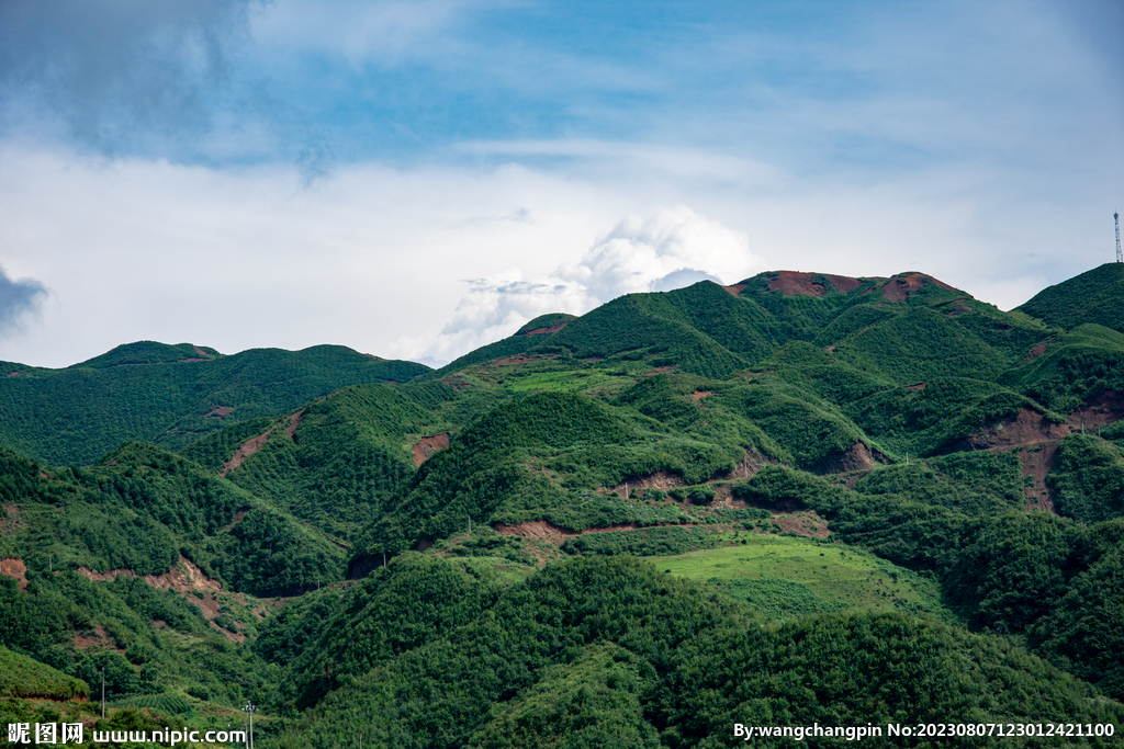 青山