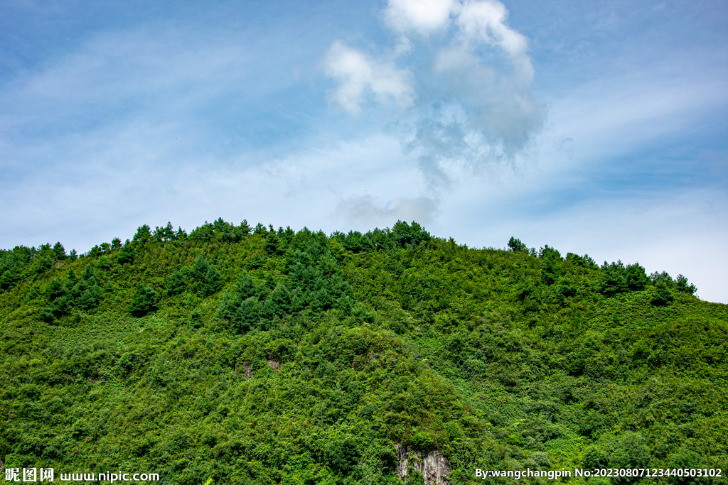 青山