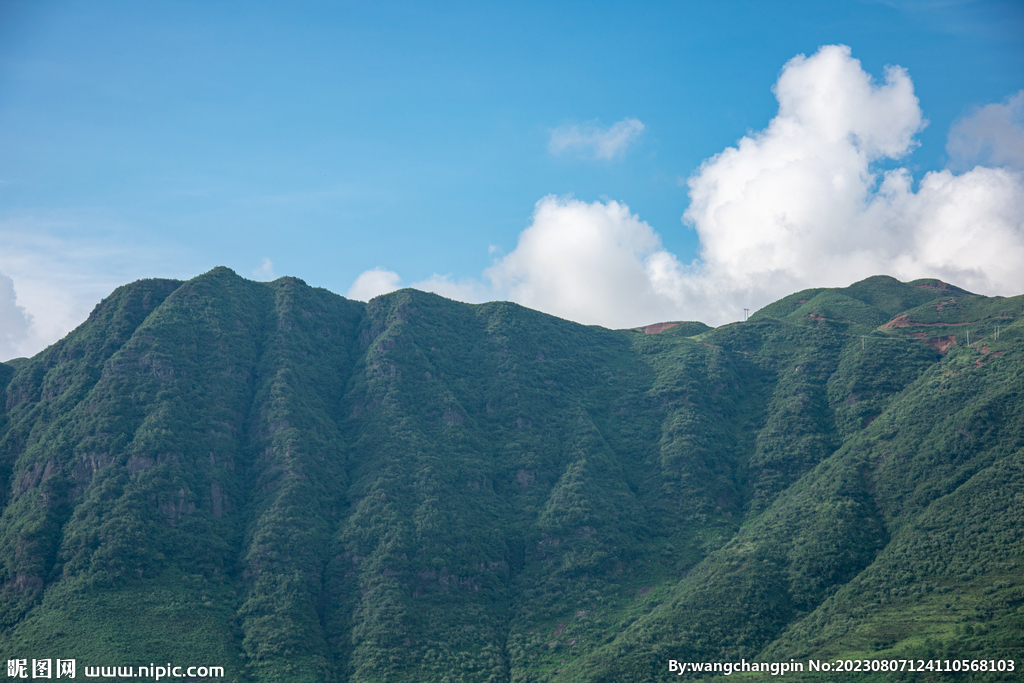 青山