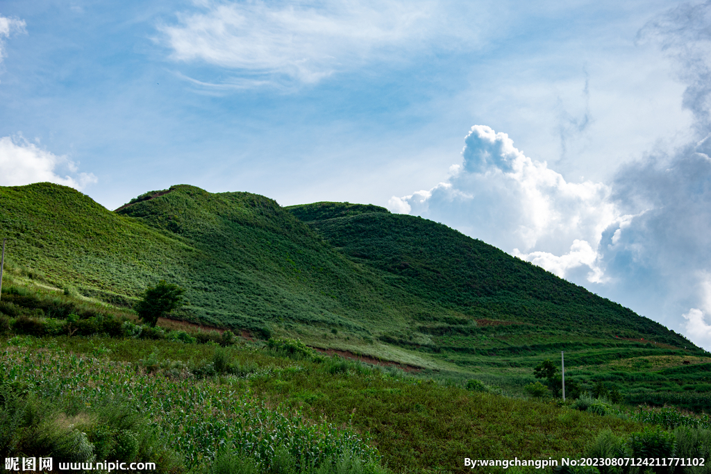 青山