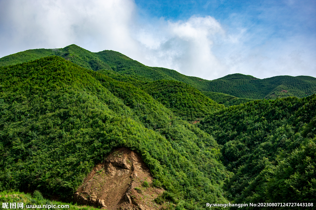 青山