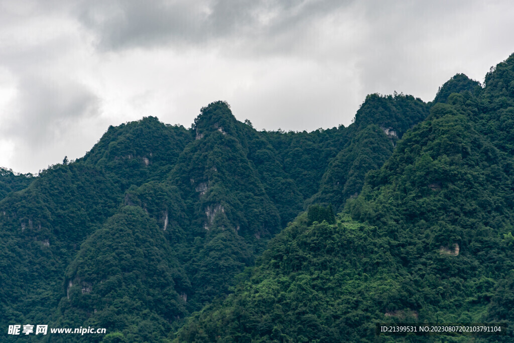 青山