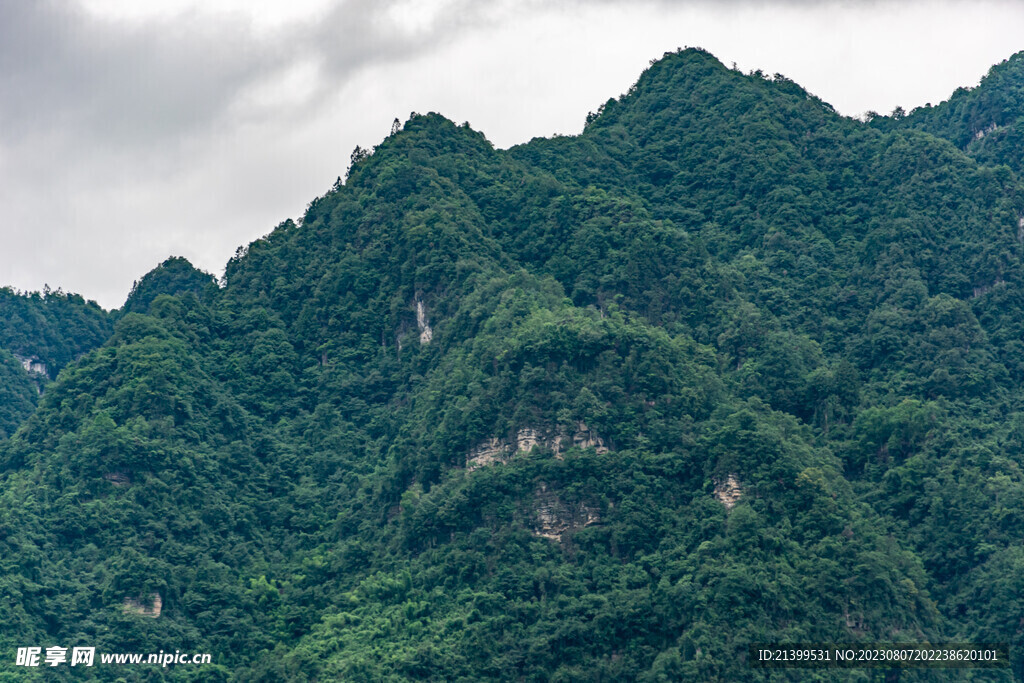 青山