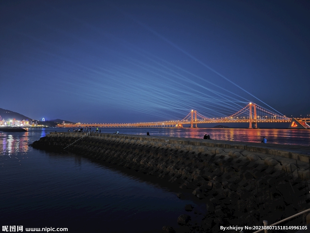 大连星海湾跨海大桥 夜景