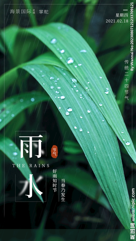 雨水海报