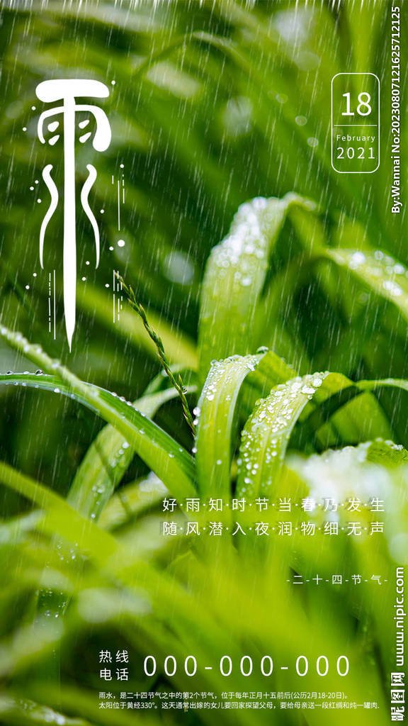  雨水海报