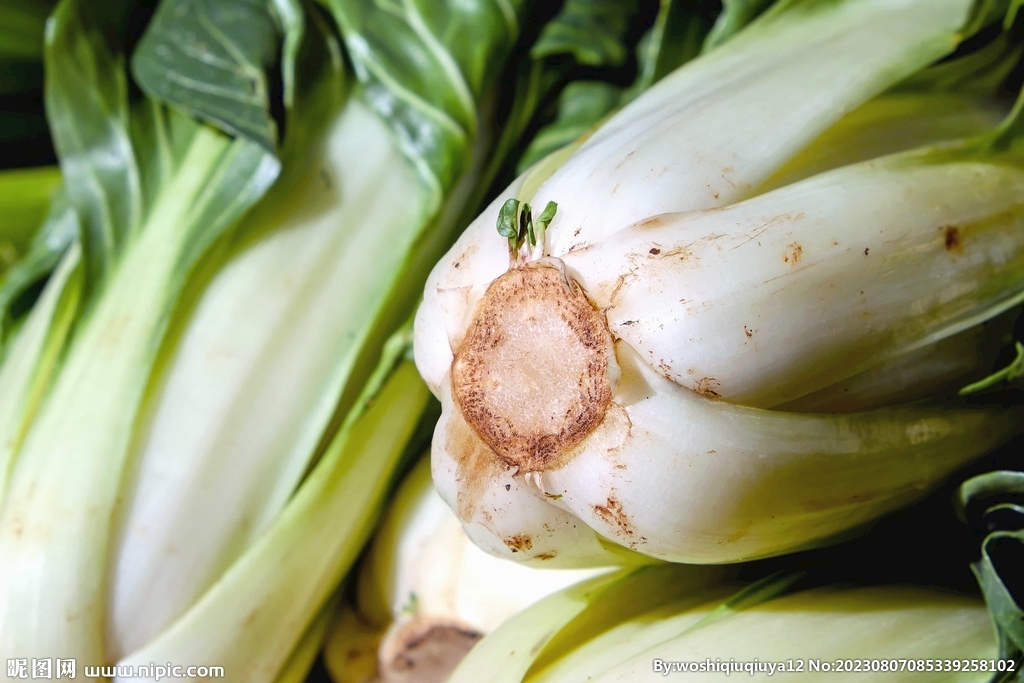 新鲜蔬菜