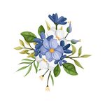手绘花卉