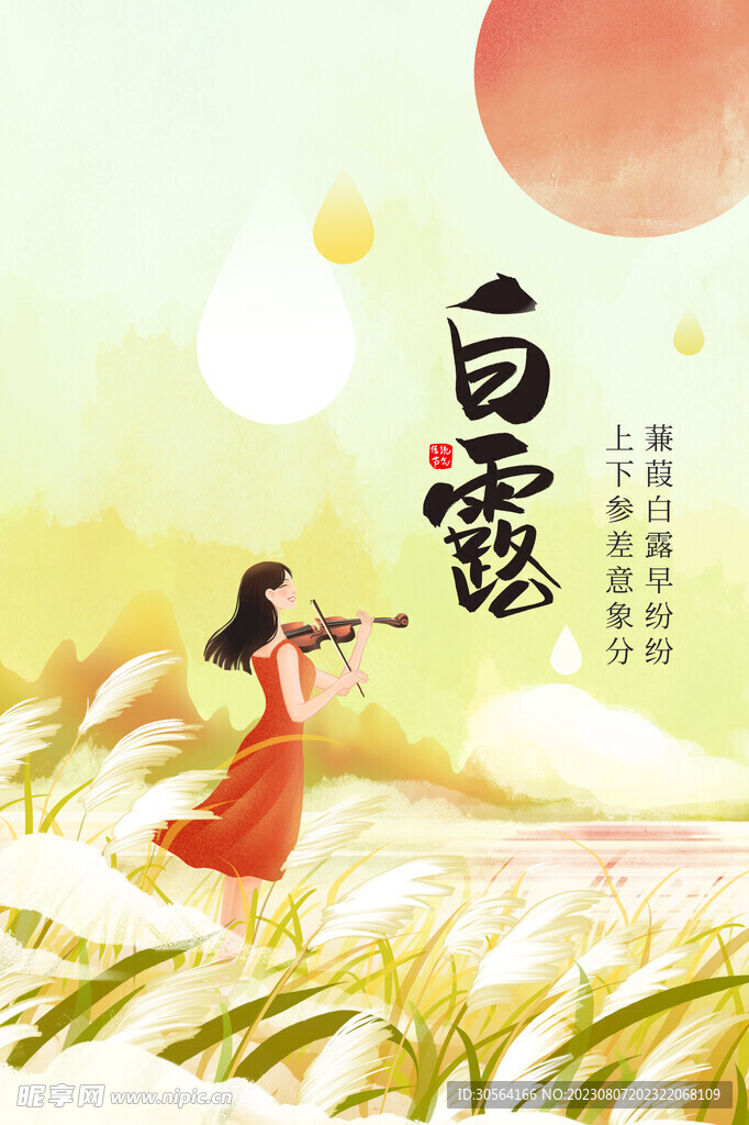 白露