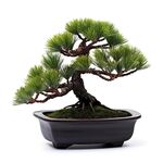 盆栽