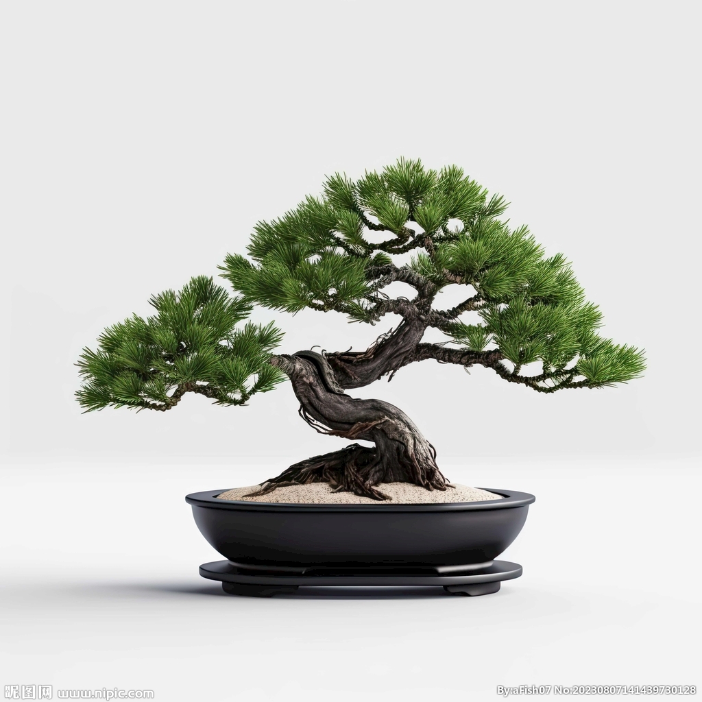 盆栽