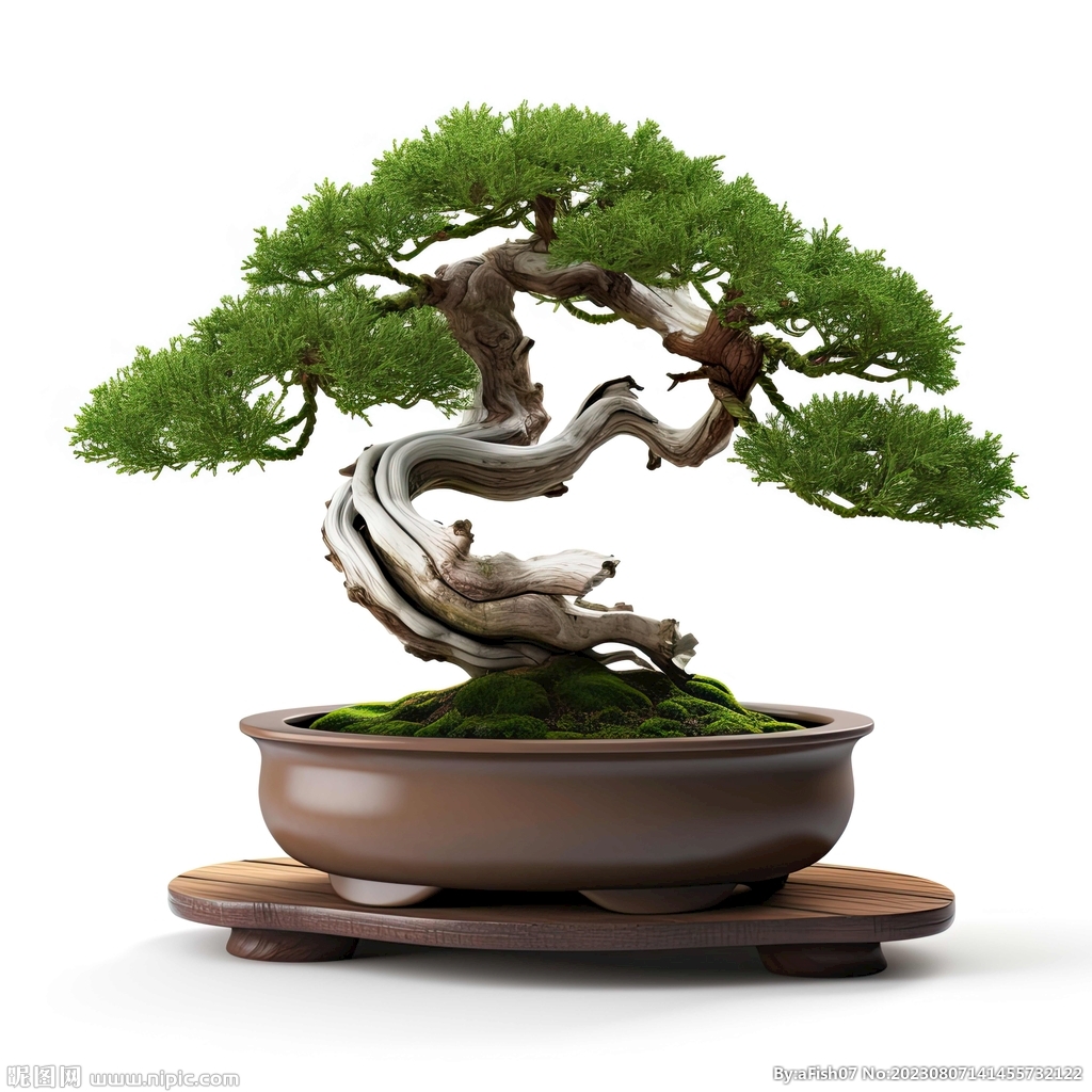 盆栽素材