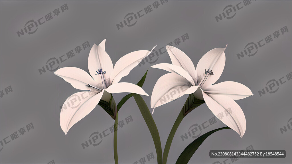 马兰花极简纯色大气