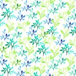 植物插画 