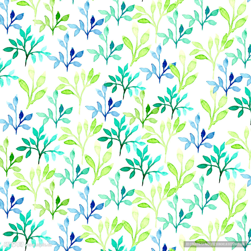 植物插画 
