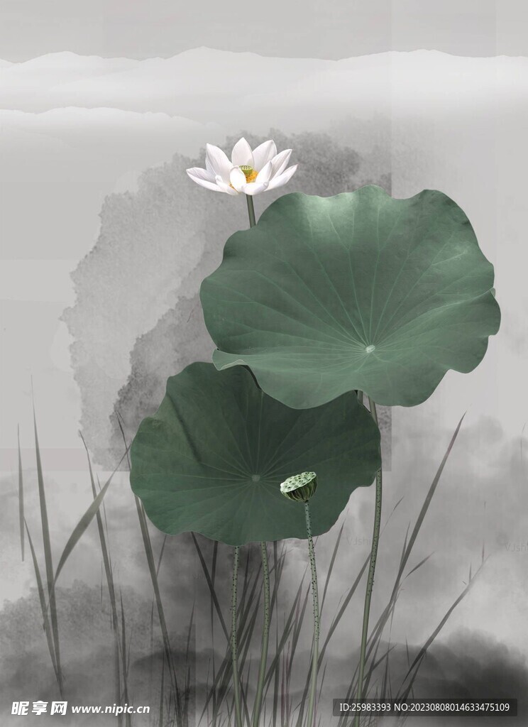 水墨荷花