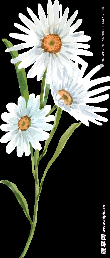 花