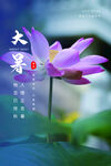 二十四节气处暑创意海报