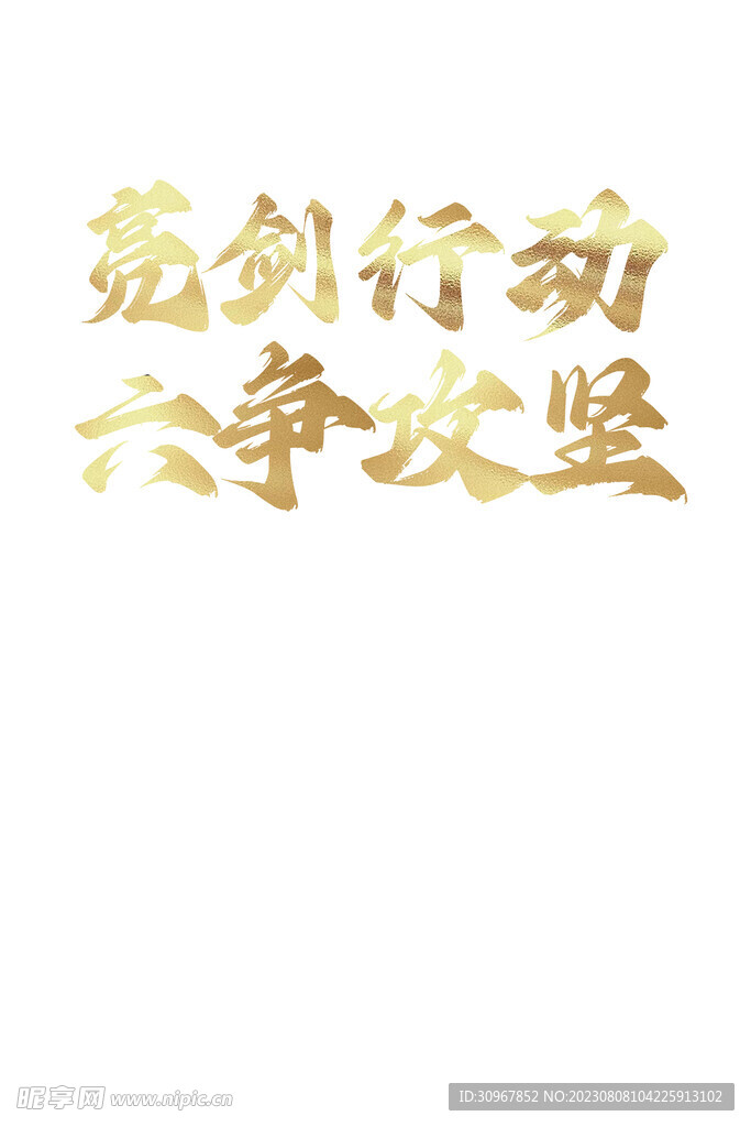 亮剑行动