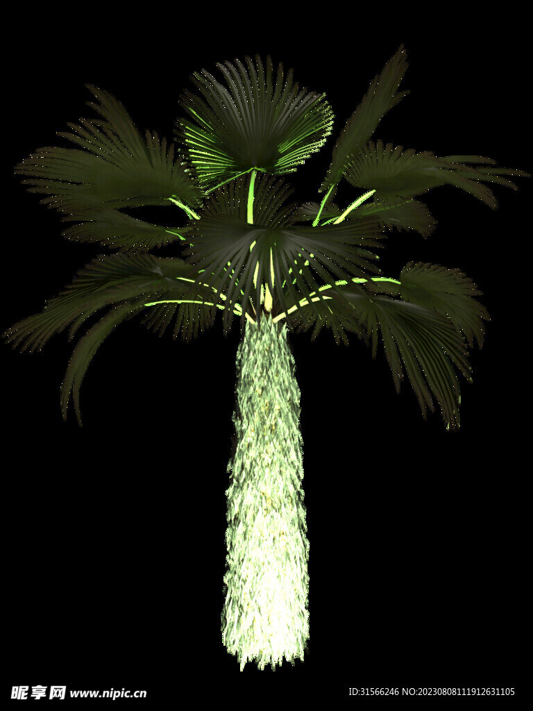 树