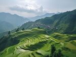 梯田