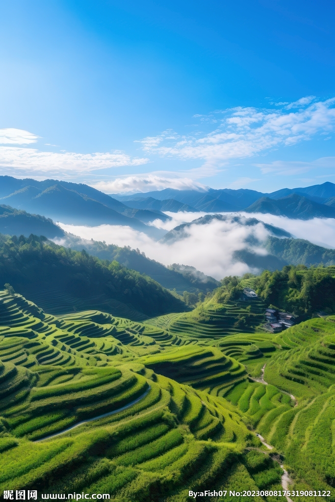 梯田