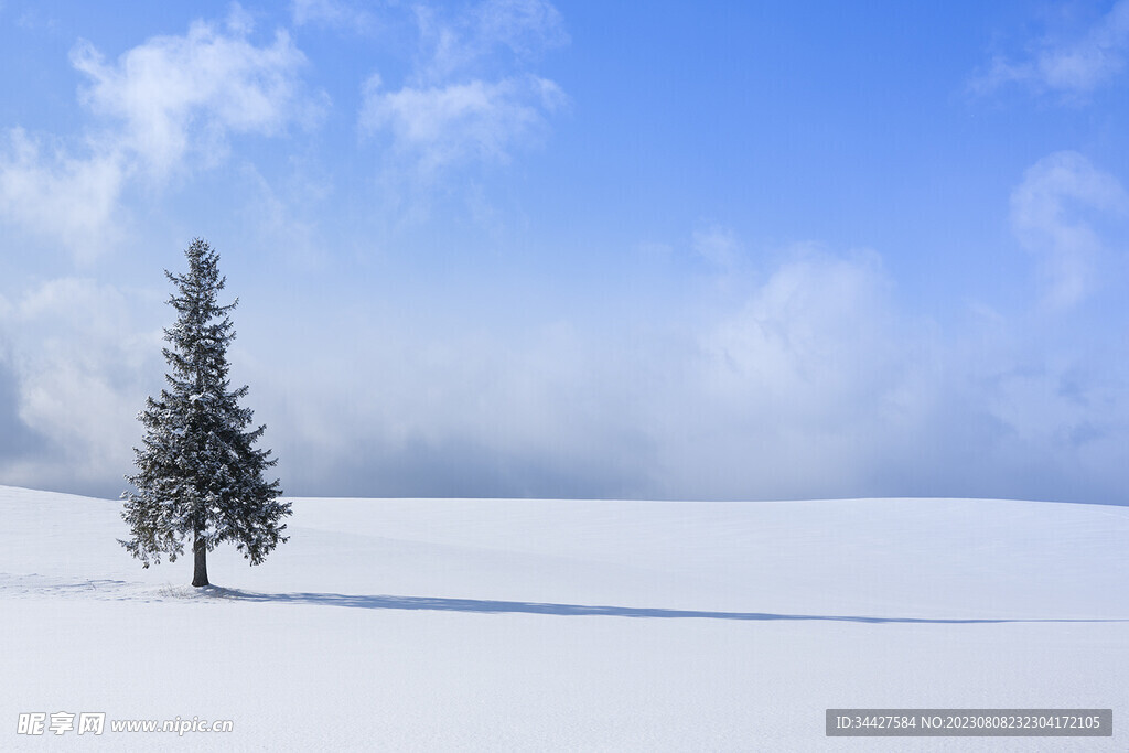 圣诞树及雪景素材