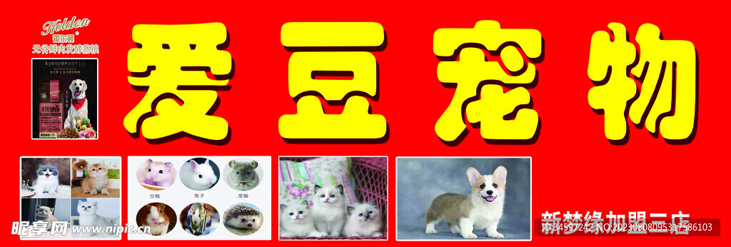 宠物
