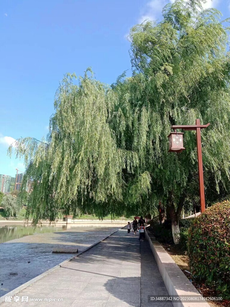 家乡
