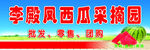 西瓜采摘园