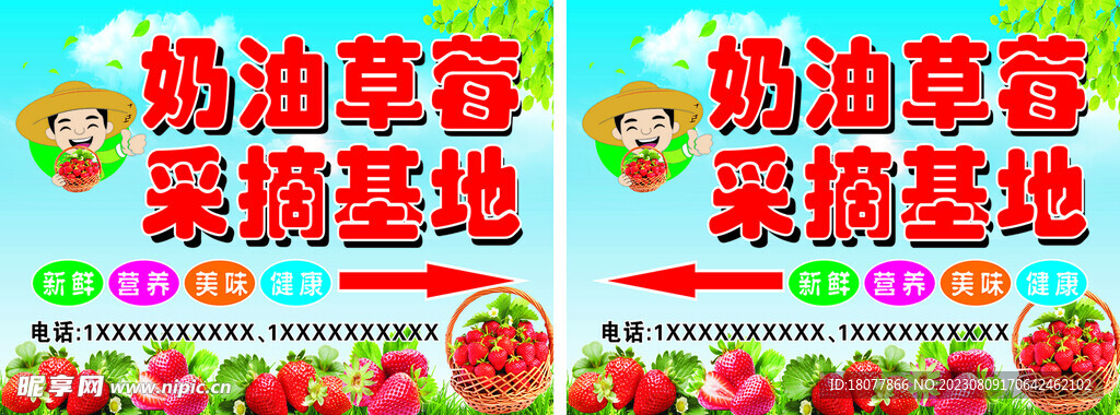 奶油草莓采摘基地