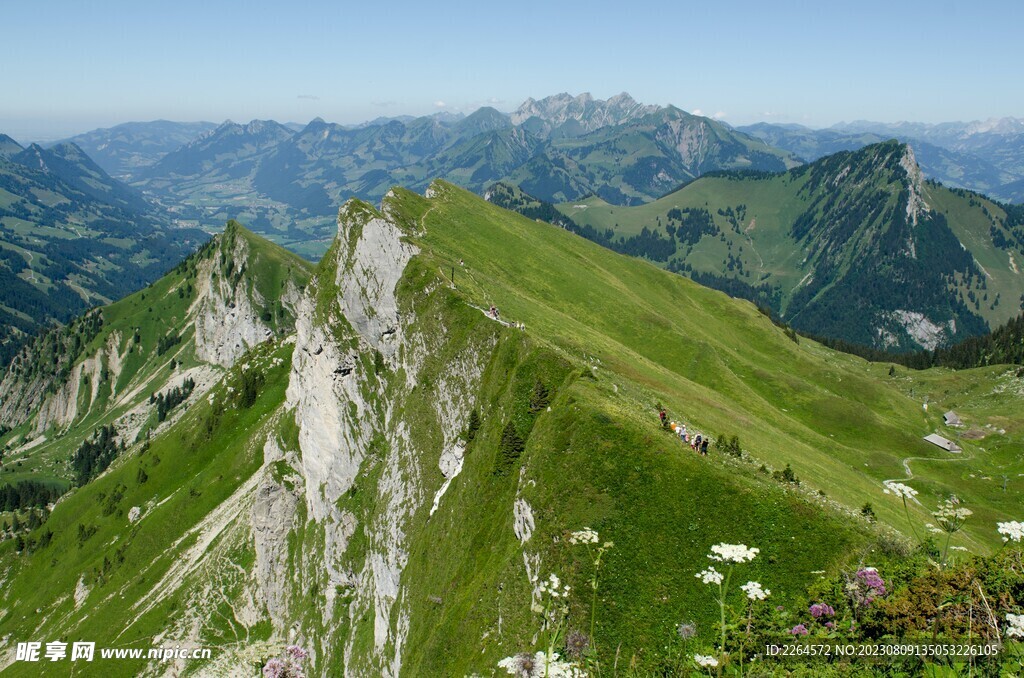 山坡人家