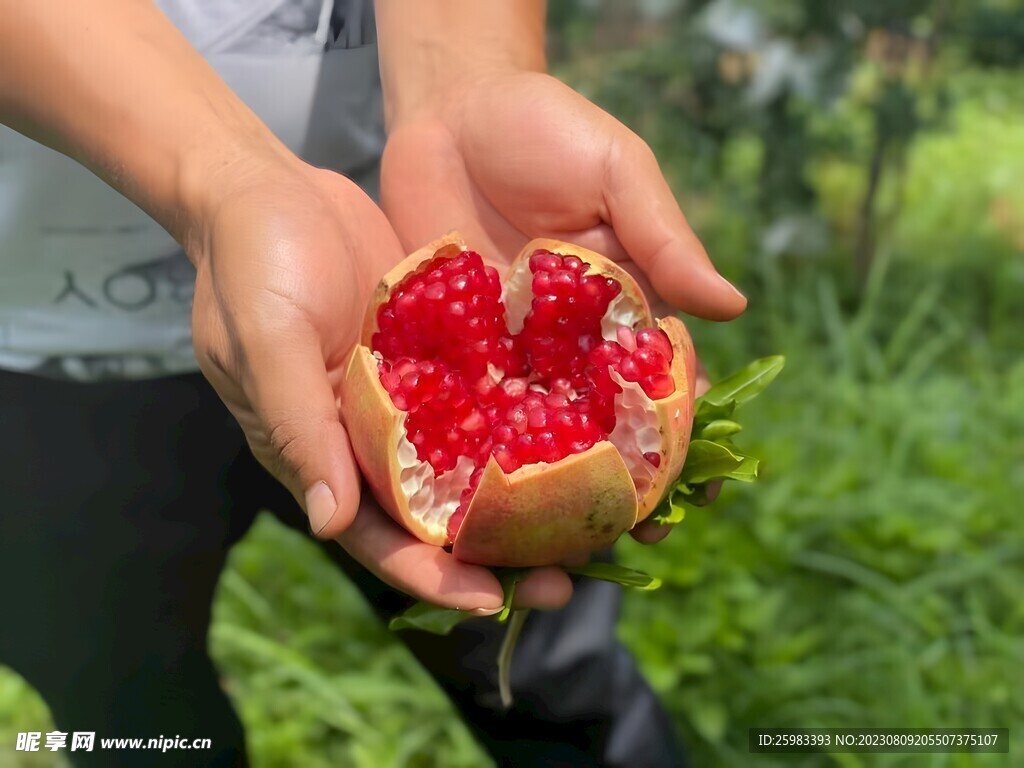 石榴