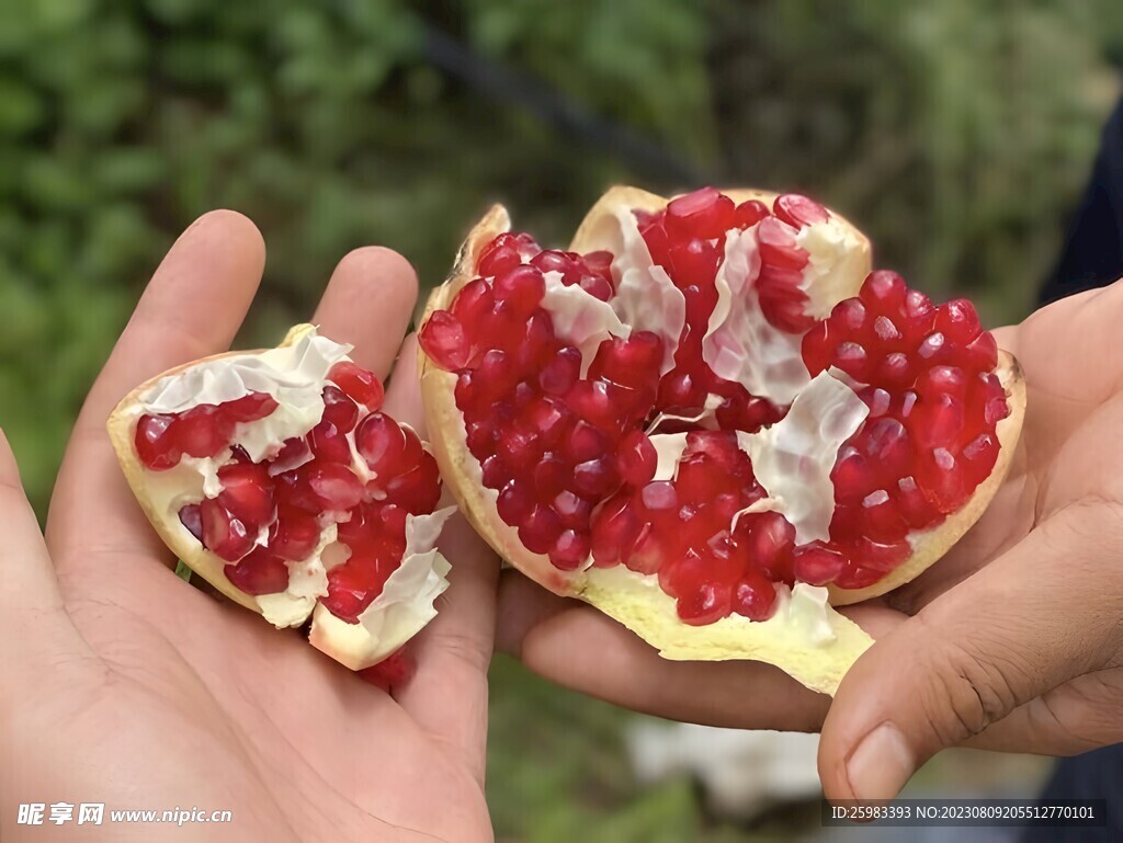 石榴