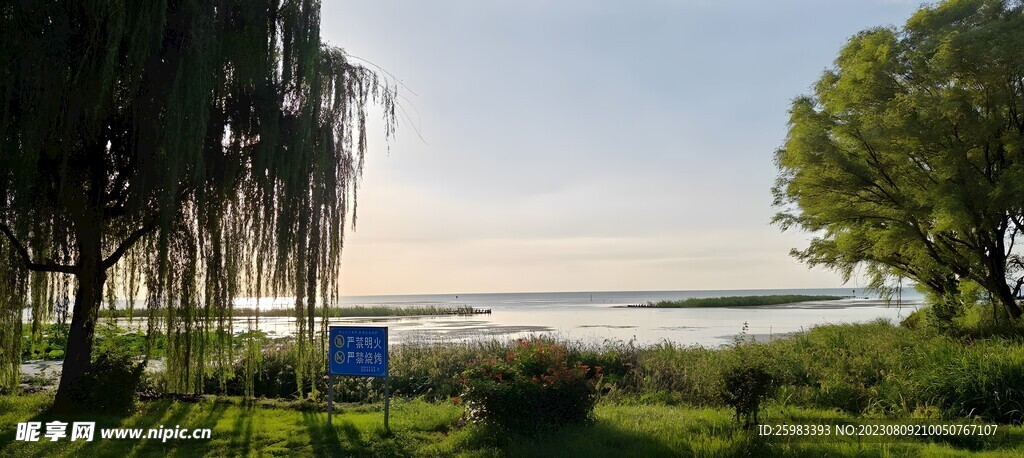 湖畔