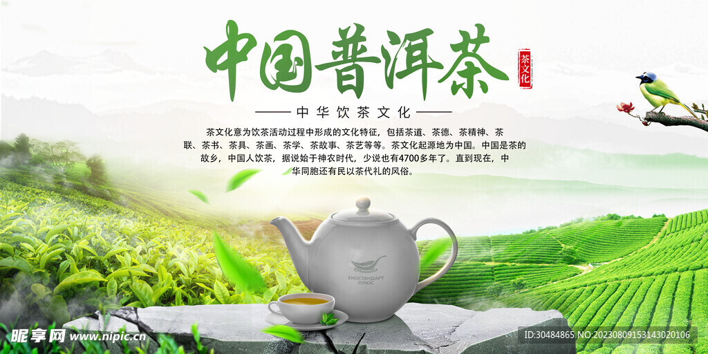 普洱茶