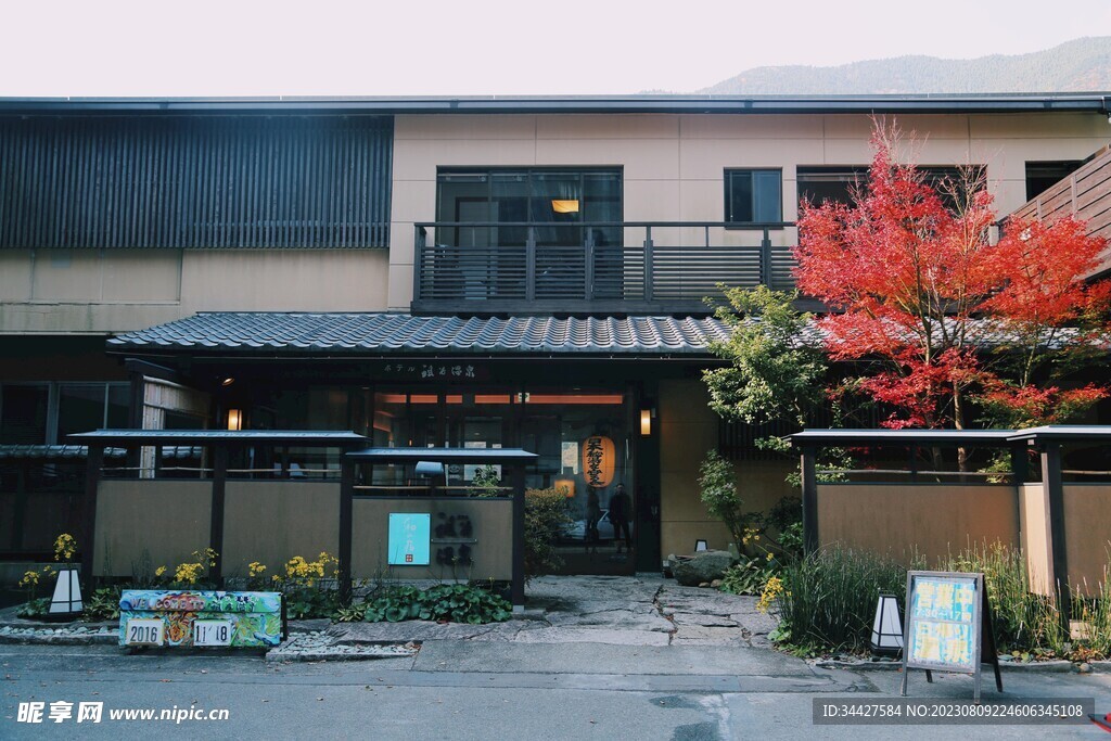日式庭院和枫树