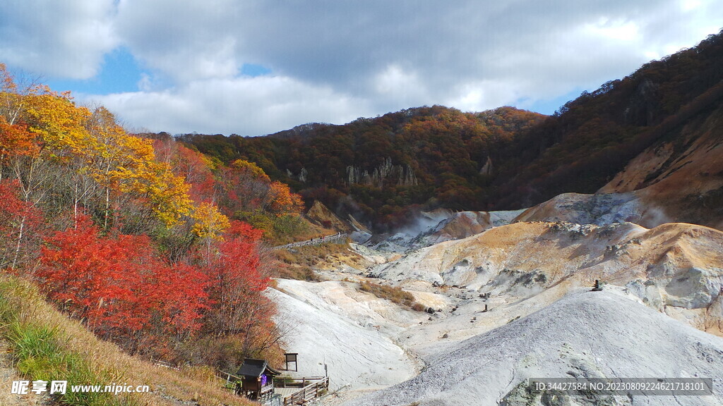 山脉和枫树