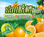 脐橙海报