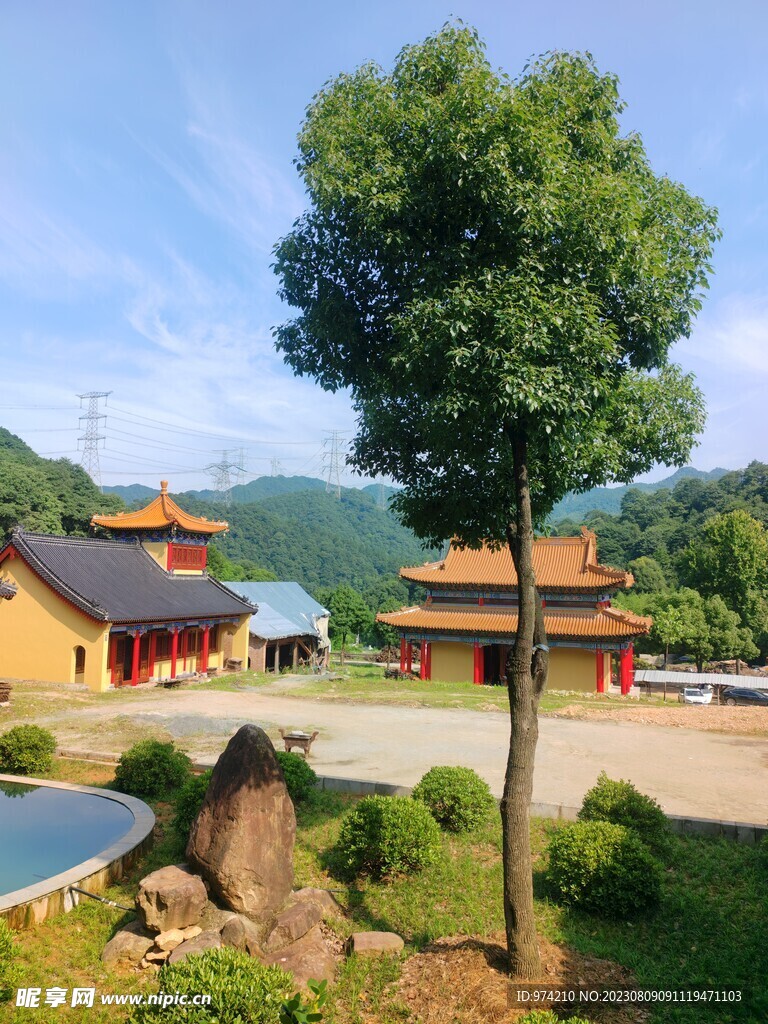 寺院 树 山