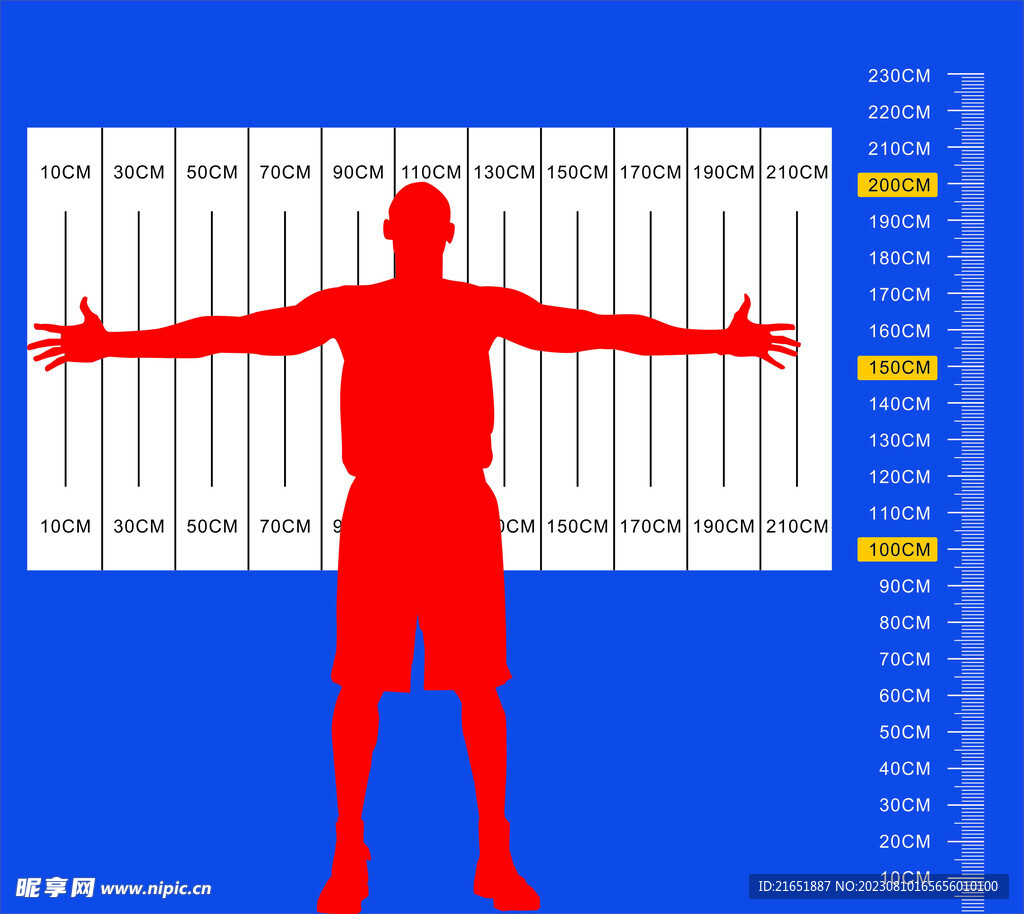 身高臂展图