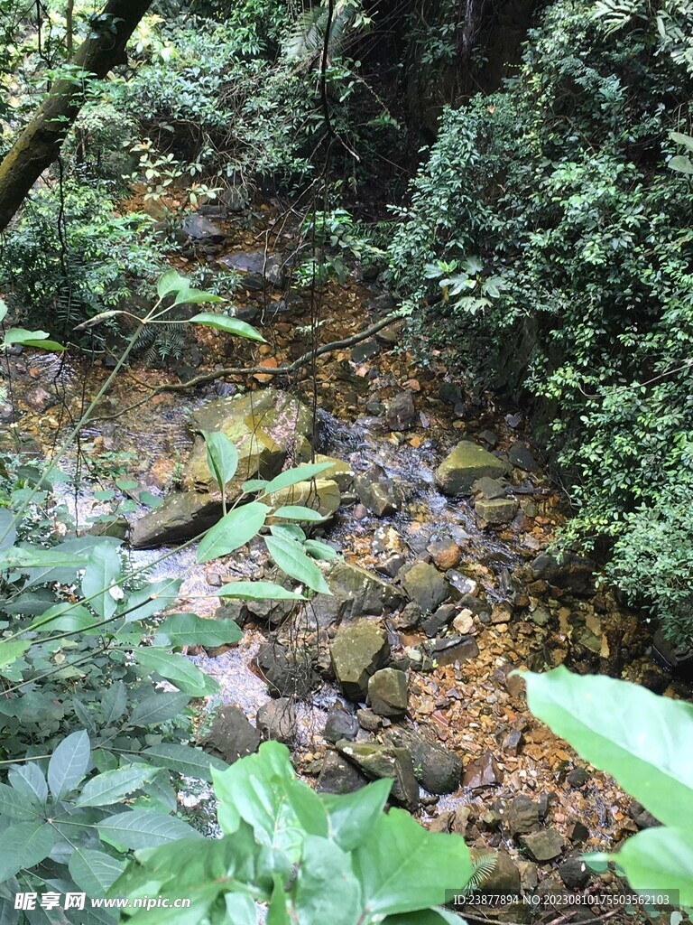 鼎湖山山水