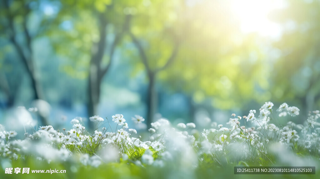 花美景