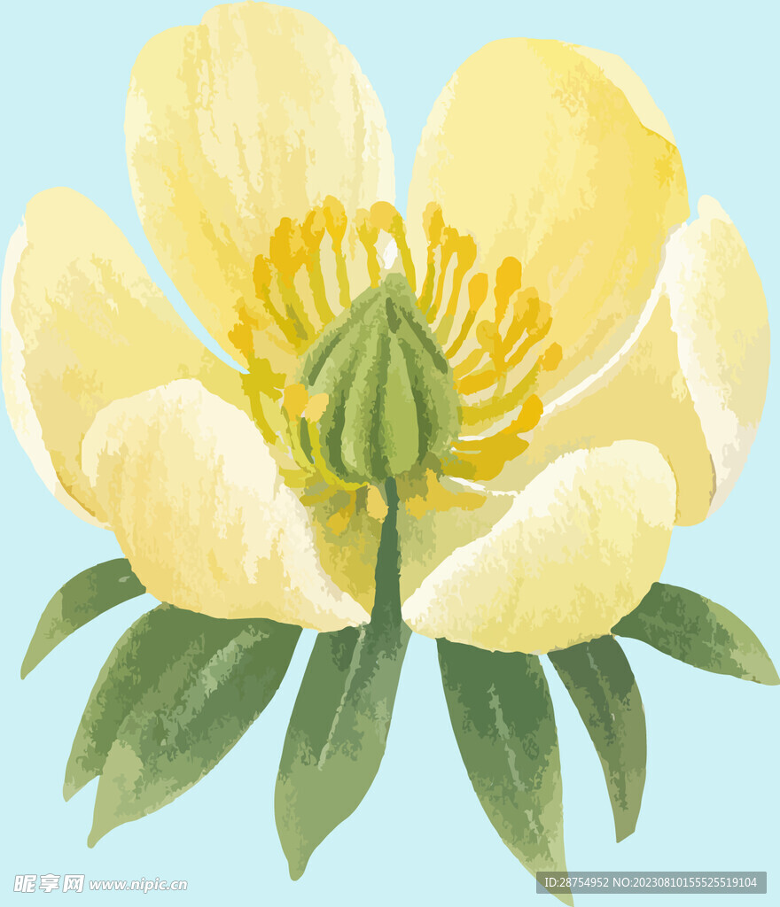花